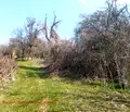 Снимка 4 — Парцел в Бургас, с. Бероново