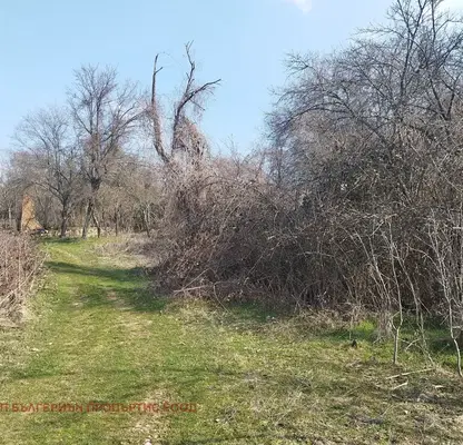 Photo 4 — Plot in Oblast Burgas, Beronovo