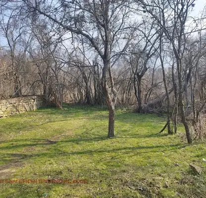 Photo 5 — Plot in Oblast Burgas, Beronovo