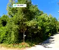 Снимка 4 — Парцел в с. Бистрица