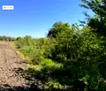 Снимка 3 — Парцел в Русе, с. Борисово