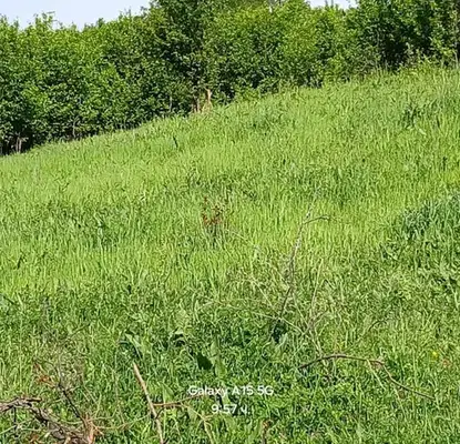 Photo 2 — Plot in област София, Bov