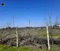 Снимка 3 — Парцел в Пловдив, с. Браниполе