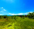 Снимка 3 — Парцел в Пловдив, с. Брестник
