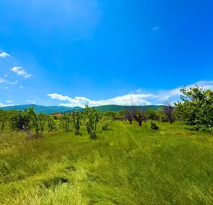 Снимка 3 — Парцел в Пловдив, с. Брестник