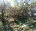 Снимка 5 — Парцел в Пловдив, с. Брестовица