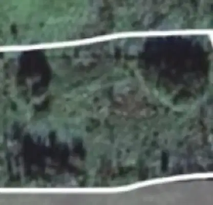 Photo 4 — Plot in Oblast Dobrich, Carichino