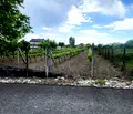 Снимка 2 — Парцел в Пазарджик, с. Черногорово