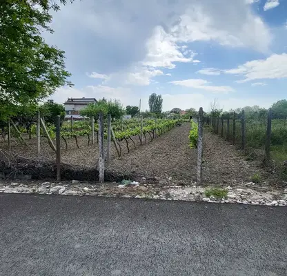 Photo 2 — Plot in Oblast Pazardjik, Chernogorovo