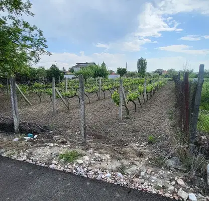 Photo 3 — Plot in Oblast Pazardjik, Chernogorovo