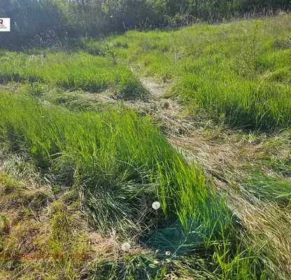 Photo 3 — Plot in Oblast Pernik, Debeli Lag