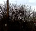 Снимка 4 — Парцел в Перник, с. Дебели лаг