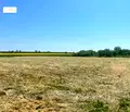 Снимка 3 — Парцел в Стара Загора, с. Диня