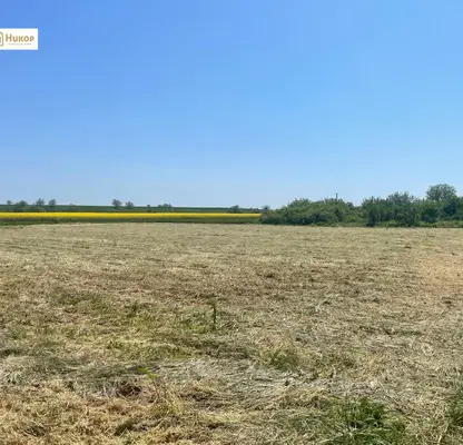 Photo 3 — Plot in Oblast Stara Zagora, Dinya