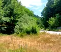 Снимка 4 — Парцел в Ловеч, с. Дивчовото
