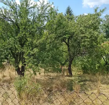 Photo 3 — Plot in Oblast Pernik, Divotino