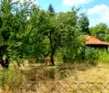Снимка 4 — Парцел в Перник, с. Дивотино