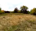 Снимка 2 — Парцел в Перник, с. Дивотино