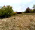 Снимка 3 — Парцел в Перник, с. Дивотино