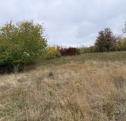 Photo 3 — Plot in Oblast Pernik, Divotino