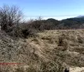 Снимка 3 — Парцел в Перник, с. Дивотино