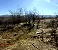 Снимка 5 — Парцел в Перник, с. Дивотино