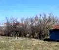 Снимка 2 — Парцел в Ловеч, с. Добревци