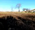 Снимка 2 — Парцел в Добрич, с. Добрево