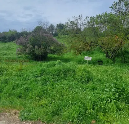 Photo 2 — Plot in Silistra, Dobrudjanka