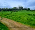 Снимка 3 — Парцел в Силистра, с. Добруджанка