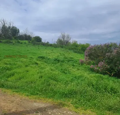 Photo 4 — Plot in Silistra, Dobrudjanka