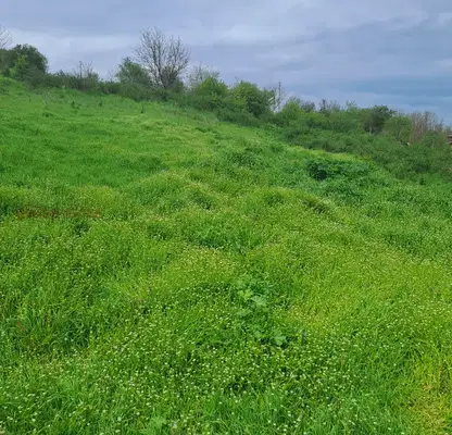 Photo 5 — Plot in Silistra, Dobrudjanka