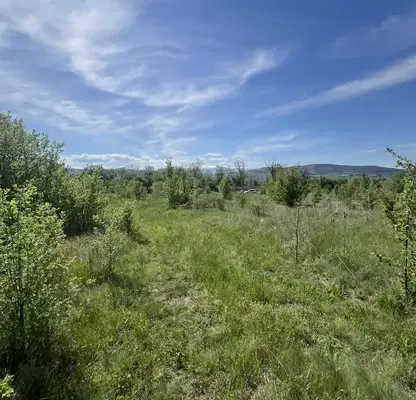 Photo 2 — Plot in Oblast Pernik, Dolna Dikanya
