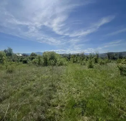 Photo 5 — Plot in Oblast Pernik, Dolna Dikanya