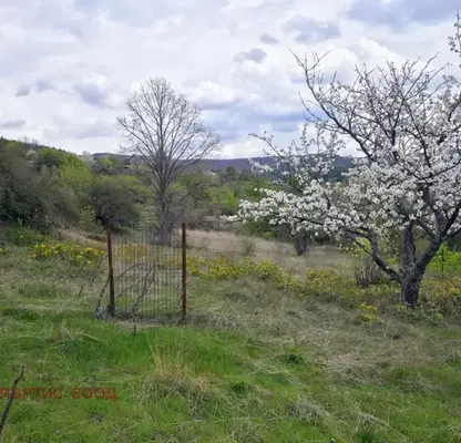 Photo 4 — Plot in Oblast Pernik, Dolna Dikanya