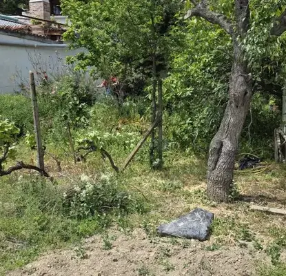 Photo 2 — Plot in Oblast Stara Zagora, Dylboki