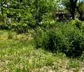 Снимка 4 — Парцел в Стара Загора, с. Дълбоки