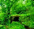 Снимка 3 — Парцел в Перник, с. Габровдол