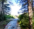 Снимка 3 — Парцел в с. Герман