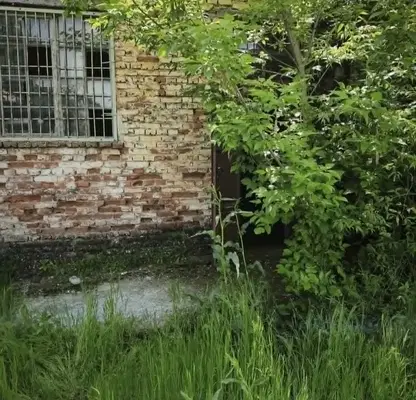 Photo 2 — Plot in Oblast Pazardjik, Glavinica
