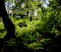 Снимка 3 — Парцел в Пазарджик, с. Главиница