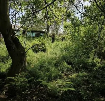 Photo 3 — Plot in Oblast Pazardjik, Glavinica
