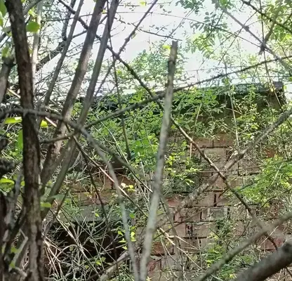 Снимка 3 — Парцел в Ловеч, с. Голям извор