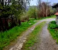 Снимка 3 — Парцел в Перник, с. Горна Диканя