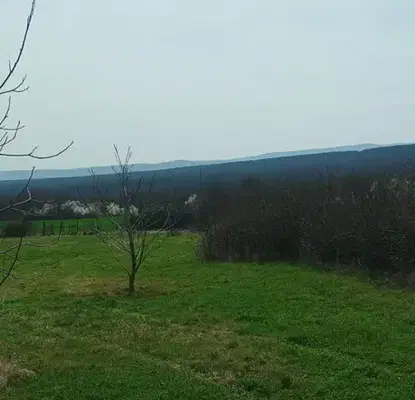Photo 2 — Plot in Oblast Varna, Gospodinovo
