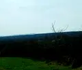 Снимка 4 — Парцел във Варна, с. Господиново