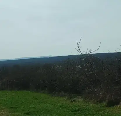Photo 4 — Plot in Oblast Varna, Gospodinovo