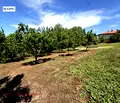 Снимка 2 — Парцел в Плевен, с. Гривица