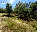 Снимка 5 — Парцел в Плевен, с. Гривица