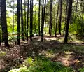 Снимка 3 — Парцел в Пловдив, с. Гълъбово